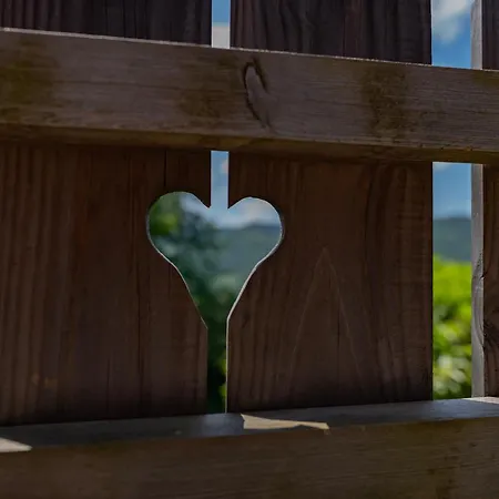 Ensoleille Dans Les Hautes Vosges Avec Terrasse, Local Velos Et Skis, Charges Incluses - Fr-1-589-486 Ferienhaus