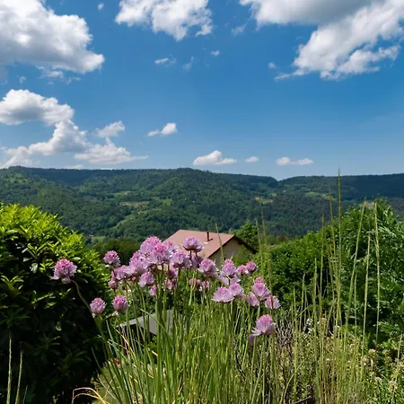 Ferienhaus Ensoleille Dans Les Hautes Vosges Avec Terrasse, Local Velos Et Skis, Charges Incluses - Fr-1-589-486 Thiéfosse