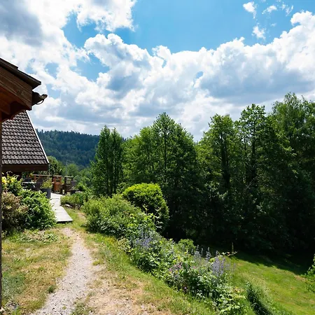 Ensoleille Dans Les Hautes Vosges Avec Terrasse, Local Velos Et Skis, Charges Incluses - Fr-1-589-486 *