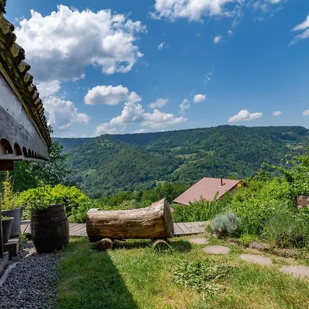 Ensoleille Dans Les Hautes Vosges Avec Terrasse, Local Velos Et Skis, Charges Incluses - Fr-1-589-486 * Thiéfosse