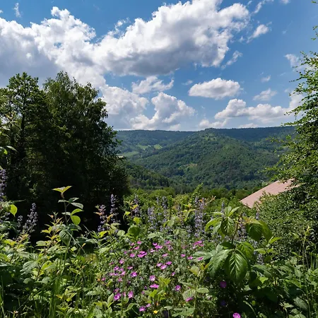 Ensoleille Dans Les Hautes Vosges Avec Terrasse, Local Velos Et Skis, Charges Incluses - Fr-1-589-486