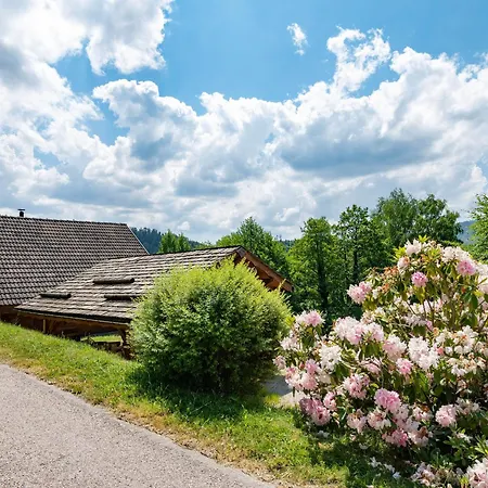 Ensoleille Dans Les Hautes Vosges Avec Terrasse, Local Velos Et Skis, Charges Incluses - Fr-1-589-486 *