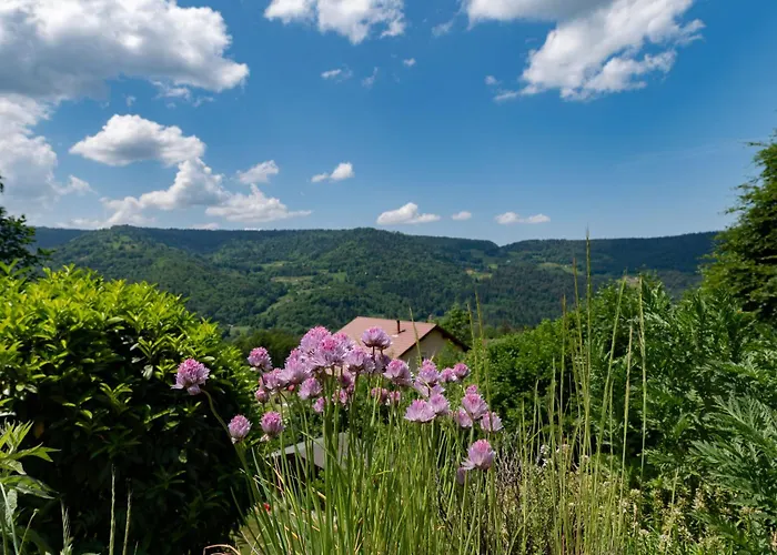 Prázdninový dům Ensoleille Dans Les Hautes Vosges Avec Terrasse, Local Velos Et Skis, Charges Incluses - Fr-1-589-486 Thiéfosse