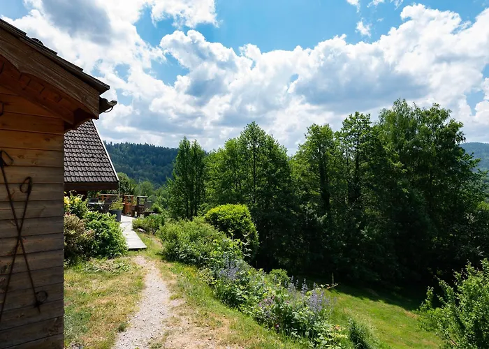 Ensoleille Dans Les Hautes Vosges Avec Terrasse, Local Velos Et Skis, Charges Incluses - Fr-1-589-486 *