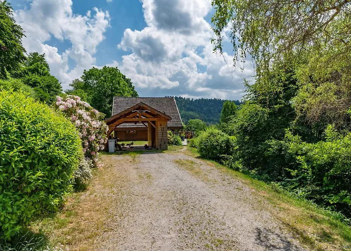 Ensoleille Dans Les Hautes Vosges Avec Terrasse, Local Velos Et Skis, Charges Incluses - Fr-1-589-486 Prázdninový dům Thiéfosse
