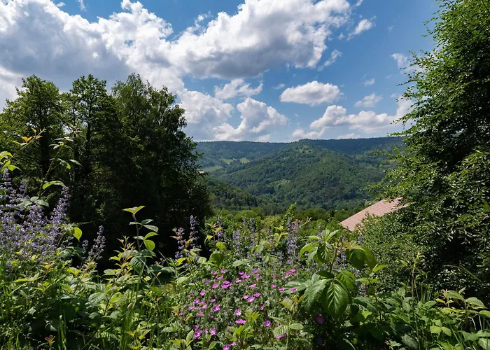 Ensoleille Dans Les Hautes Vosges Avec Terrasse, Local Velos Et Skis, Charges Incluses - Fr-1-589-486