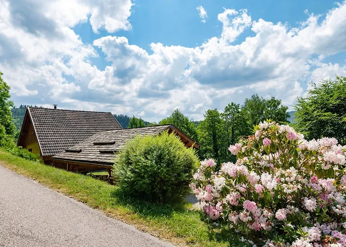 Ensoleille Dans Les Hautes Vosges Avec Terrasse, Local Velos Et Skis, Charges Incluses - Fr-1-589-486 *